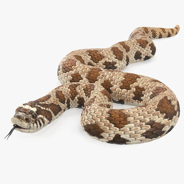 venom wearable heat and vibration back device