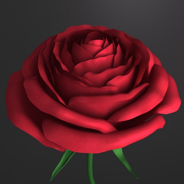 rose 2.0 vibrator
