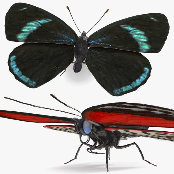 butterfly vibrator needle